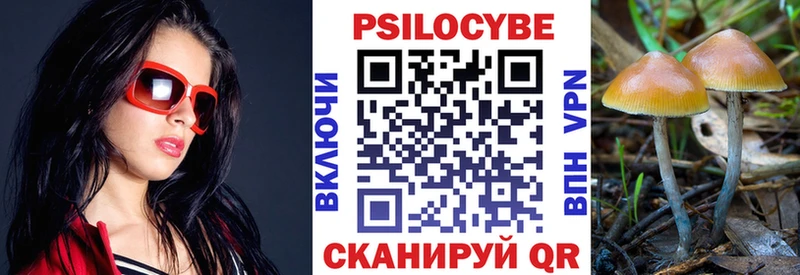 Купить где  Зверево  Псилоцибиновые грибы Magic Shrooms 