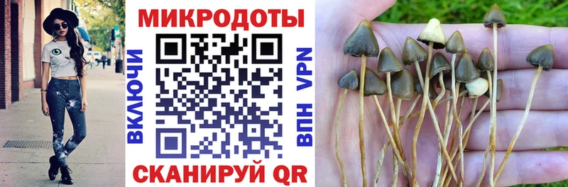 Галлюциногенные грибы MAGIC MUSHROOMS Зверево